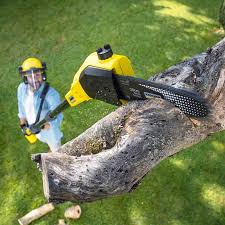 Best Pest Control for Lawns  in Monroeville, IN