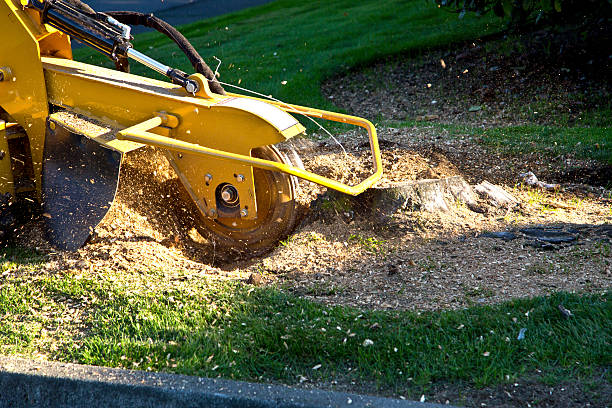 Best Soil Testing and Treatment  in Monroeville, IN